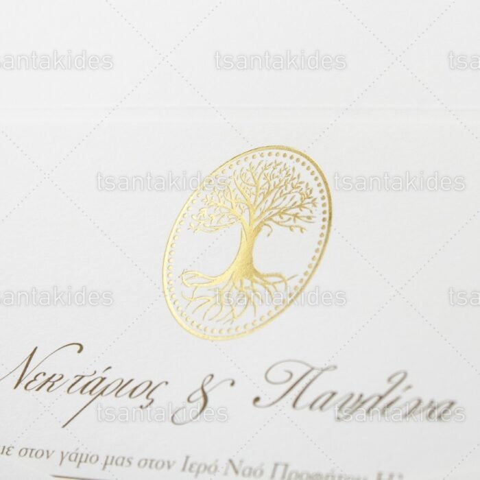 prosklitiria_gamou_tsantakides_gr_wedding_invitation_7692_ΝΟ103Κ_3.jpg