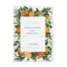 skliro_kapaki_zografizo_tetraselido_xartiono_case_harden_painting_tsantakides_wedding_gamos_TS630_01_branch_chic_elegant_green_monograms_orange.jpg