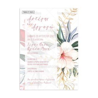 ΠΑΠΥΡΑΚΙ – TS503