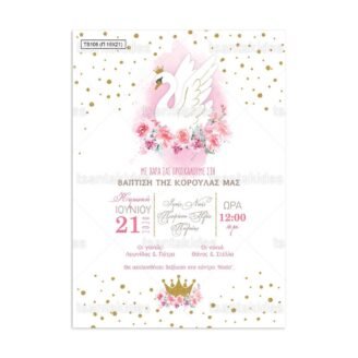 ΠΑΠΥΡΑΚΙ – TS106