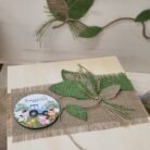 20250804_114735-scaled