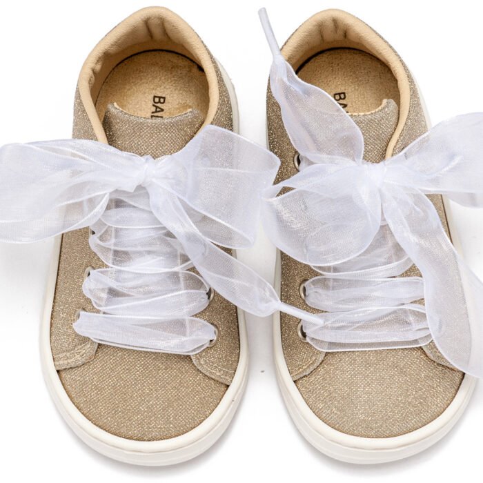 BW4864-PLATINUM2-BABYWALKER