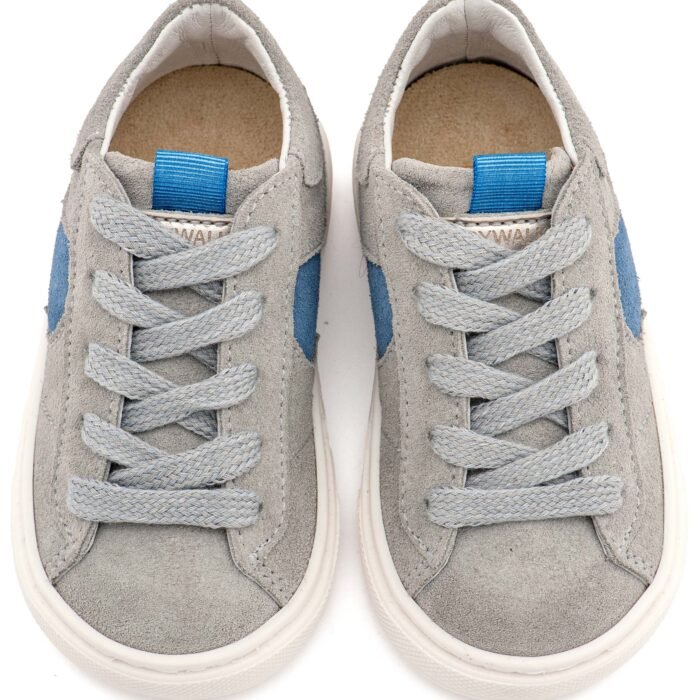 EXC8002-GREY-ROYAL BLUE2-BABYWALKER