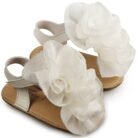 MI1559-IVORY1-BABYWALKER