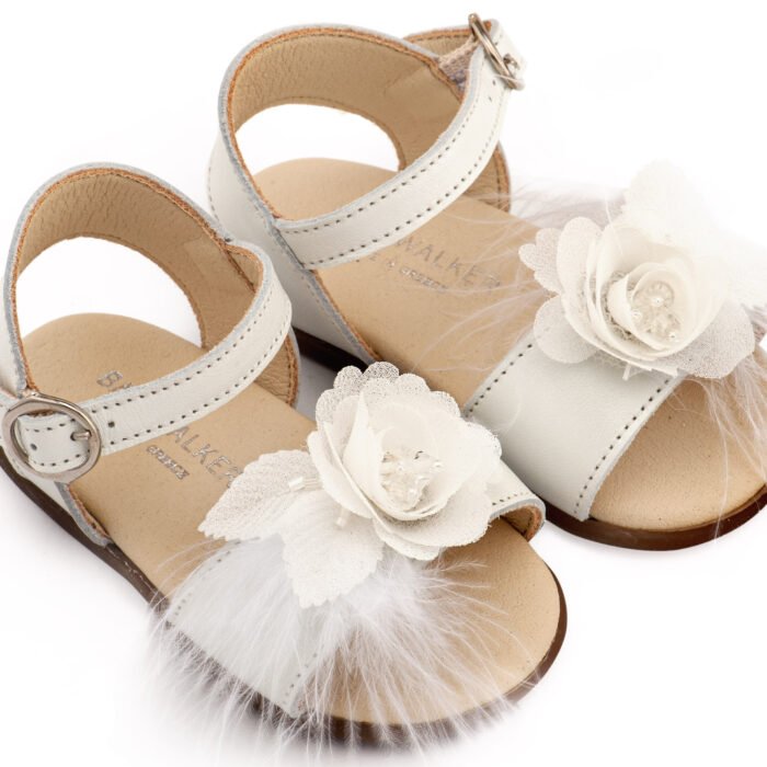 PRI2662-IVORY1-BABYWALKER